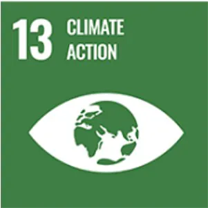 SDG 13 - Climate Action