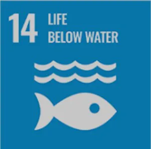 SDG 14 - Life Below Water